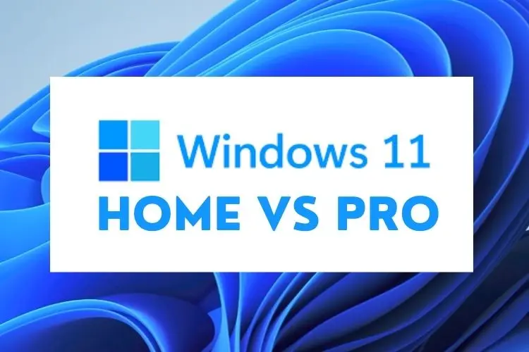 windows 11 home vs pro